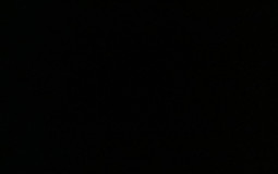 Smash or pass my ocs