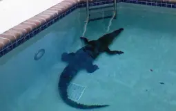 Body of Water Tierlist