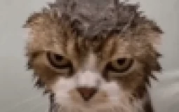 BCWO channels tier list