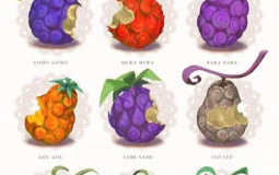 One piece devil fruit