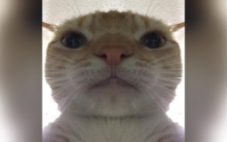 wqwwwwwww