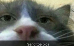 ranking books we had to read for ib eng lit hl