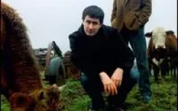 The Mountain Goats albums