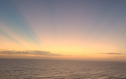 MLB The Show Comp Player Tier List