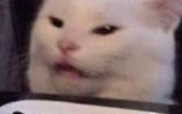 Disney Princess Rate (my seven year old bro rates)