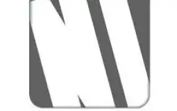 NI parties
