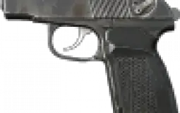 DayZ guns