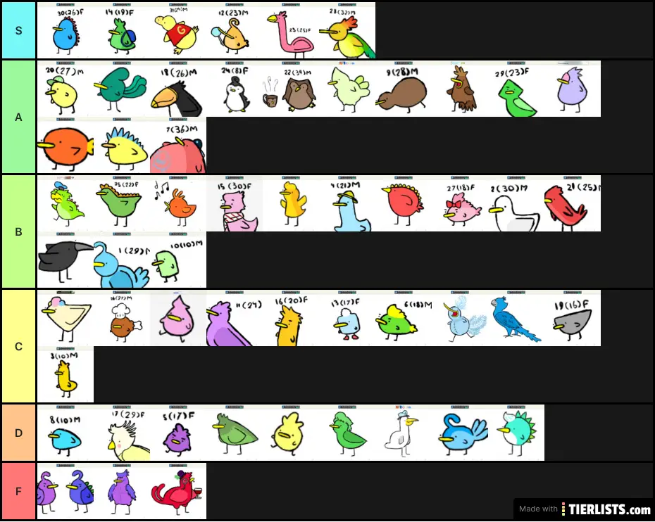 Bird Tier List