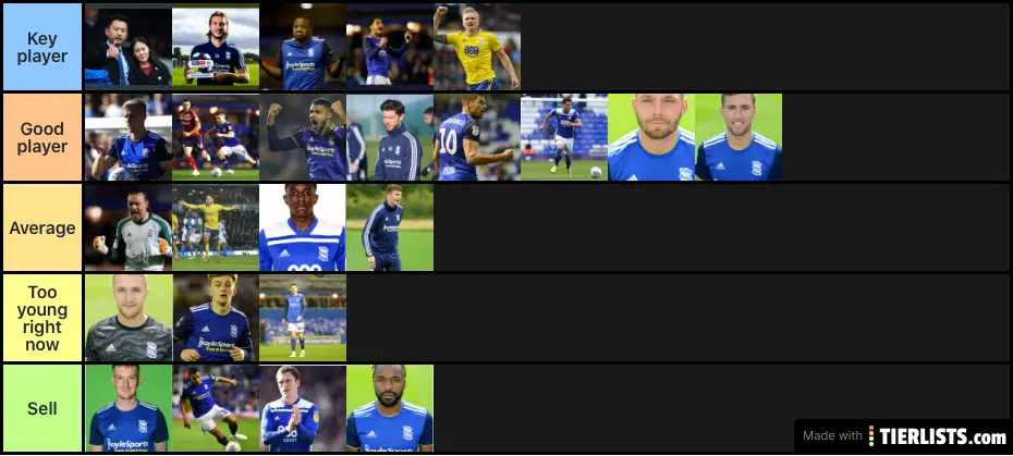 Birmingham City players