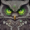 bozkanad Avatar