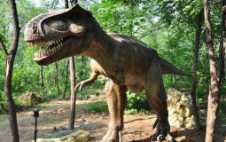 every tv show i watched