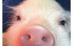 The Tragedy of my Hookups