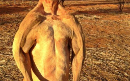 phillies 2022 off season