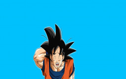 Personage dragonball