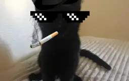 Smartest people in beech dorm