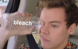 harry styles ranking