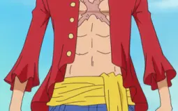 One piece characters