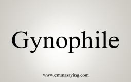 Gynophilie