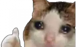 Sad Cat