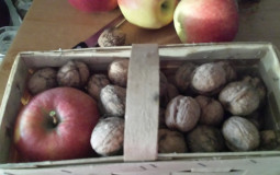 english accents tier list