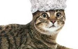 DnD Height Tier List