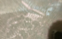 Lemon demon spirit phone