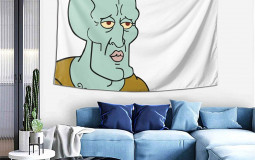 Drunken Raccoon Movies