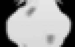 King Legacy | Roblox