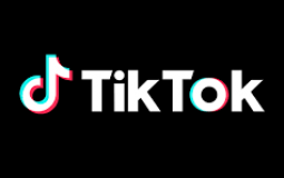 tiktoker rank