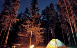 camp ynoah counselrs