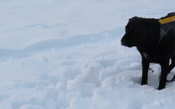 rumson school 6th grade tier list