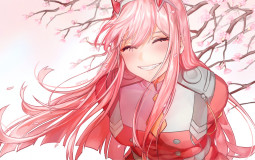 Yupasdf