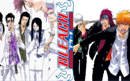 bleach