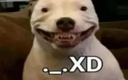 Activos De Nicksdageros