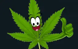 TOP PIORES MASCOTES DO FUTEBOL BRASILEIRO