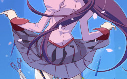 Monogatari characters