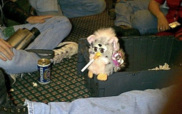 ranking kaylies type