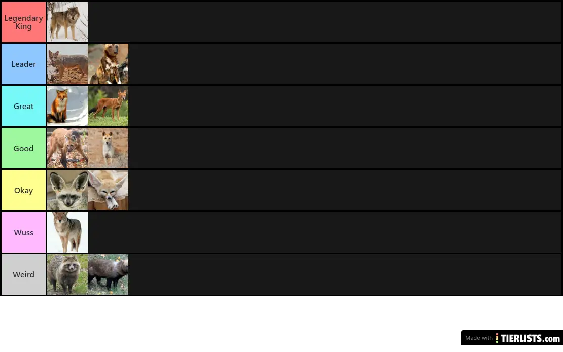Canine Tier List