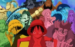One Piece Supernovas