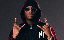 Sons ninho