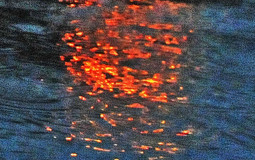 movies me and my love have watched