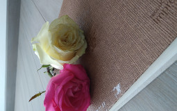 My Fav Songs Now and Then