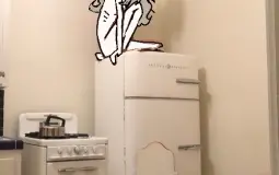 Gestalt characters ranked on dateability