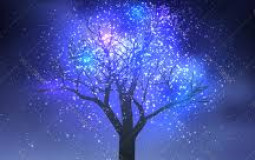 Guild Master's Guide