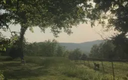 Деятельности