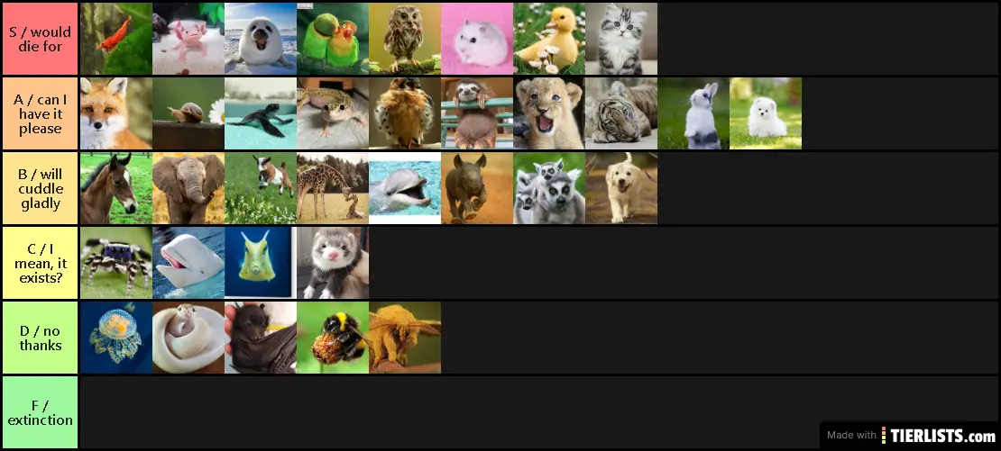 Cute Animals