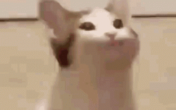 Must watch or read shows in GSA