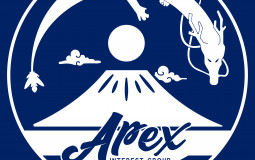 Apex Tier List