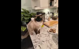 books I read in 2022