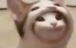 Plany Kamili O tier lista